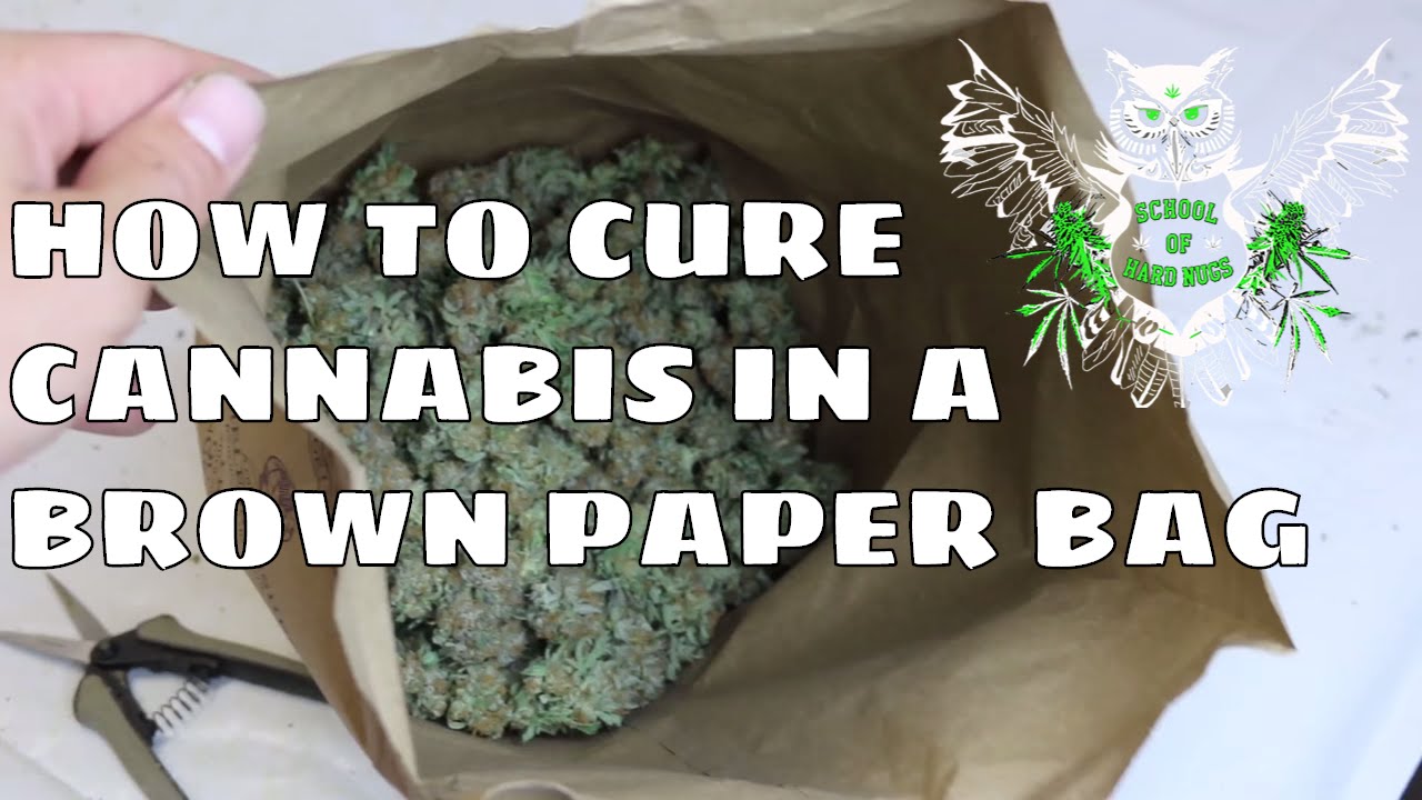 Curing Weed in a Brown Paper Bag Documentary | Drying Nugs | Harvesting and Curing Marijuana