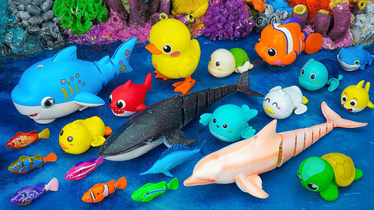 [Toy asmr] RC Pink Dolphin & RC Crocodile & RC Fish Zuru & Aquarium ASMR Satisfying with Unboxing