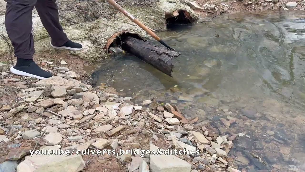 UNCLOGGING BEAVER CLOGGED CULVERTS! 02/2026