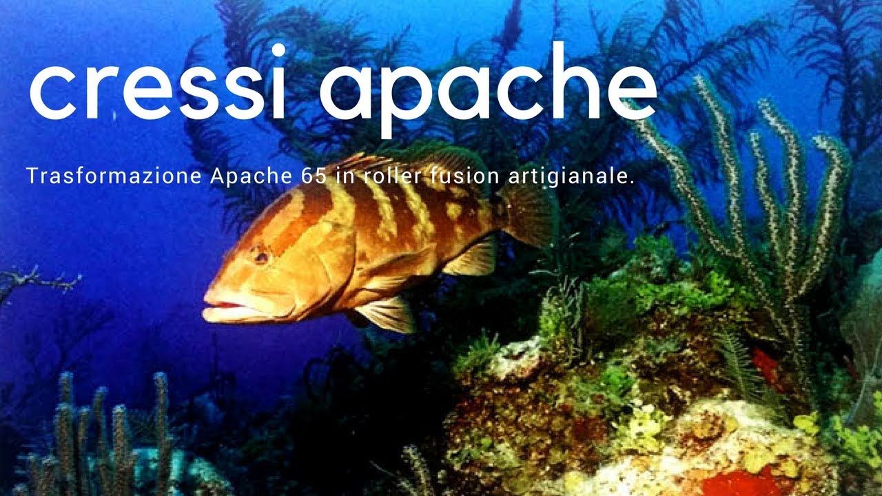 Carica arbalete senza fatica !