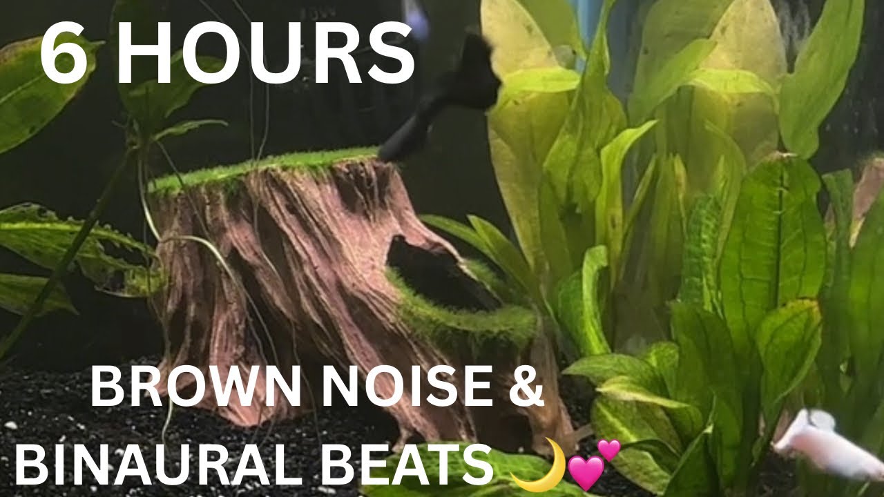 6 Hours of Brown Noise & Binaural Beats | Guppy Tank Aquarium for Focus & Productivity 🧠💚