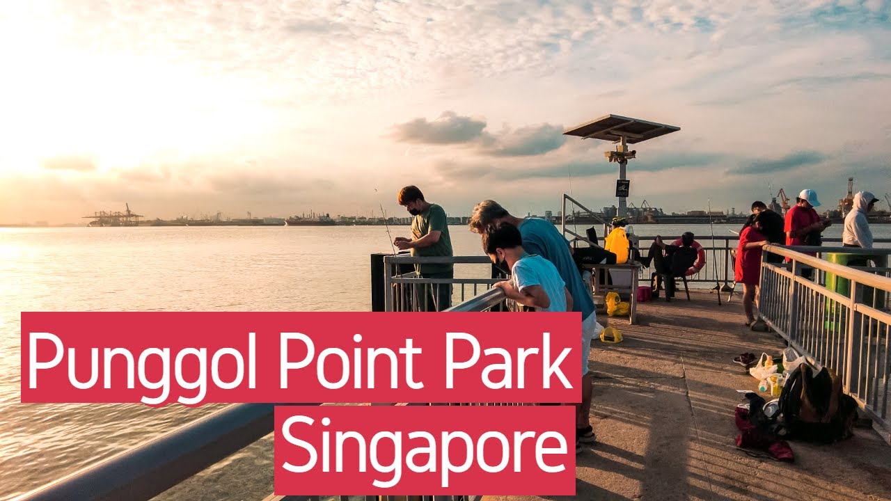 [4K] 🇸🇬 How to go to Punggol Point Park and Punggol Point Jetty? | Singapore City 2021