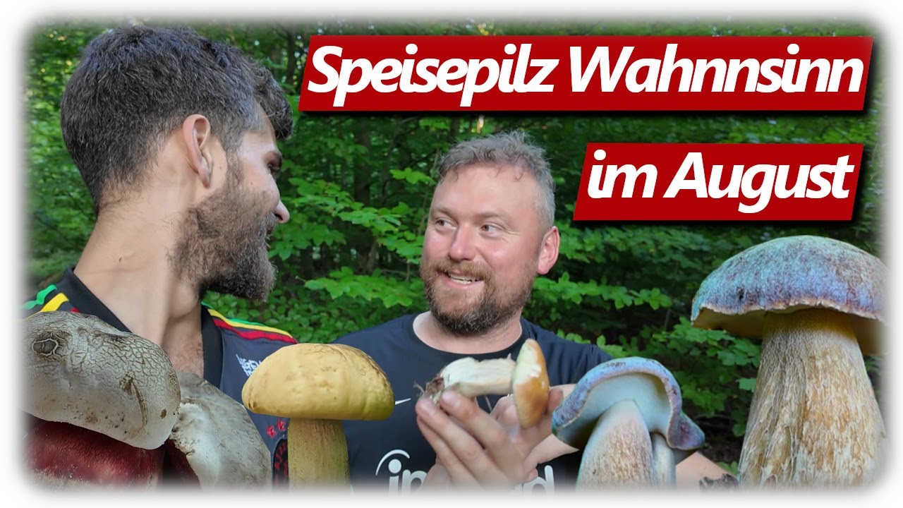 Pilze ohne Ende | Steinpilze, Giftige & Seltene Funde, Röhrlingsvielfalt im August 2025