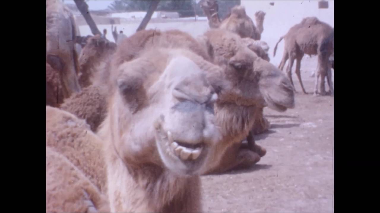 Kisinger Home Movie - Reel 07