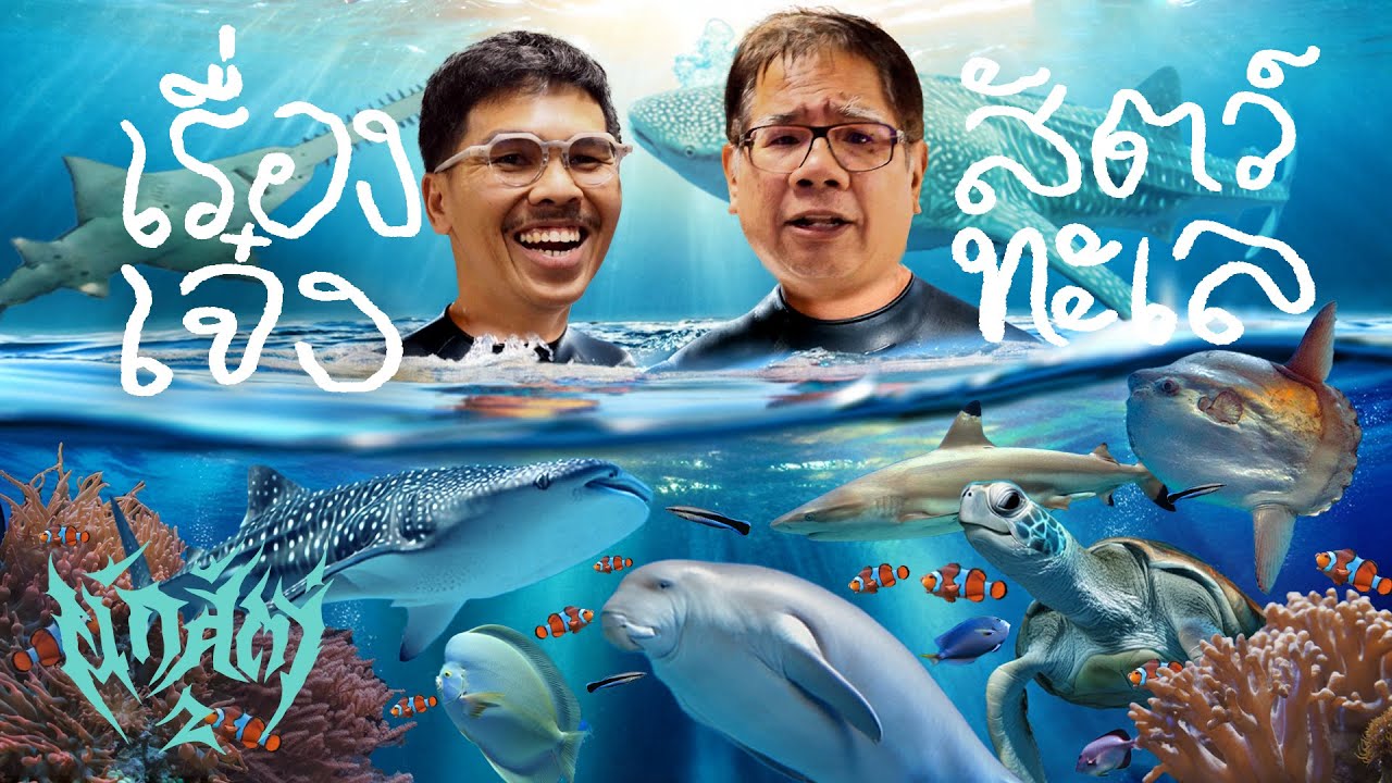 สัตว์ทะเล มีเพื่อนไหม ? - นัก_สัตว์2 EP7