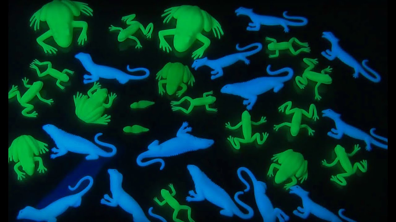 Fantastic Phosphorescence!