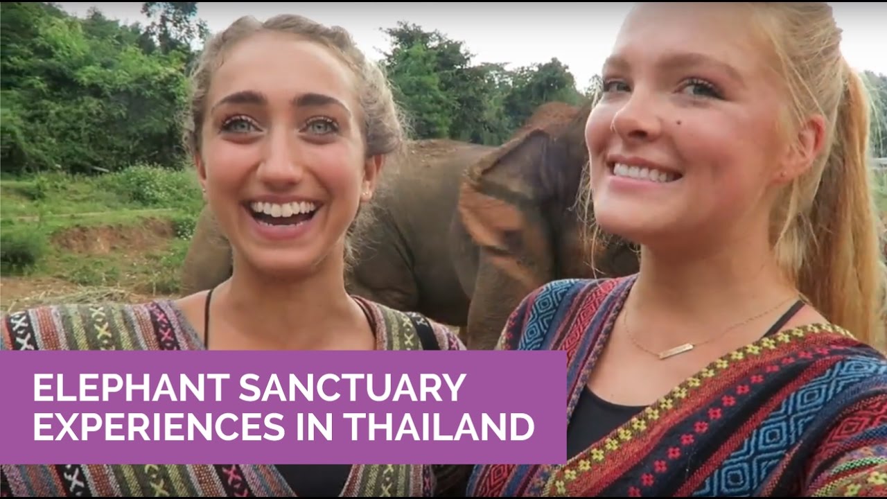 Elephant Sanctuary Experiences in Thailand