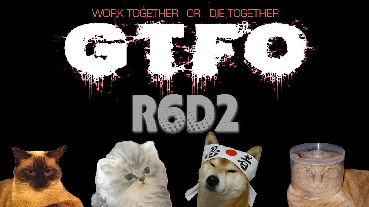 GTFO R6D2 - Продутивный трай | Стрим