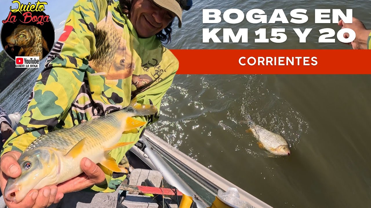 Primer pesca del año bogas en km 15 y 20 corrientes 