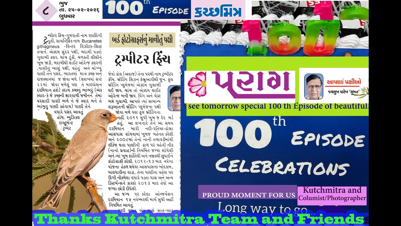 Bird Series 100 birds of kutch with primary Detail and beautiful picture by Nirav and Suman