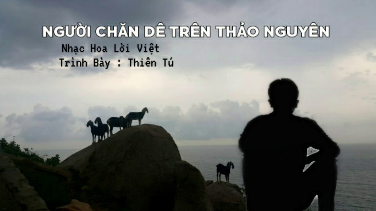 NGƯỜI CHĂN D&Ecirc; TR&Ecirc;N THẢO NGUY&Ecirc;N | THI&Ecirc;N T&Uacute; [Lời Việt]