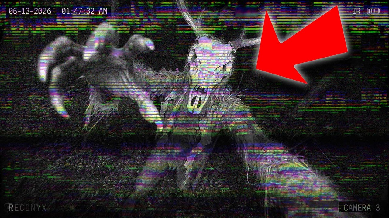 НАШИ ЛЕСНЫЕ КАМЕРЫ СНЯЛИ ВЕНДИГО, И ОН ДВИЖЕТСЯ ПРЯМО НА НАС!!