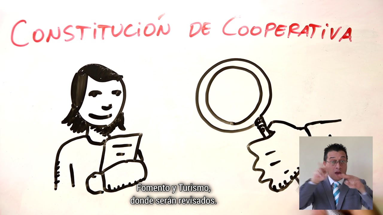Las Cooperativas y su constitución   CIESCOOP USACH