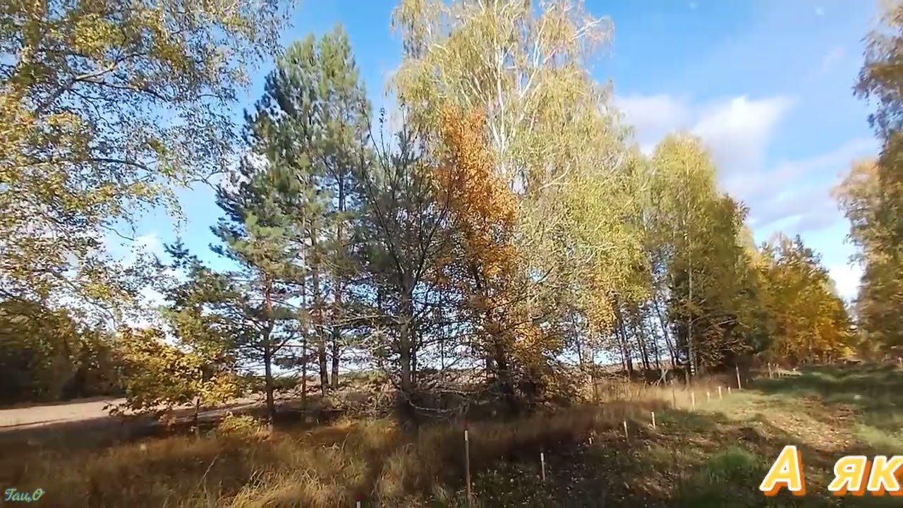 2025. Дорога: ДЕПТІВКА - ГОЛІНКА 