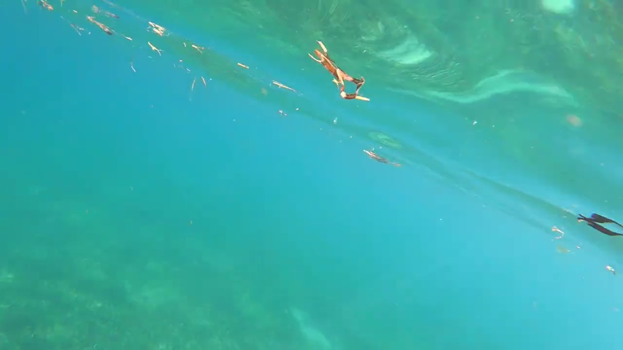 Chocolate Hole St. John USVI. Total time from my door to sea turtles ~
