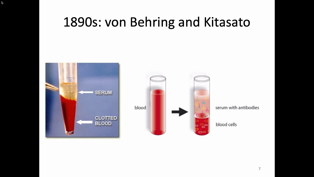 Immunology Fall 2019 Lecture 6: Antigens and Antibodies