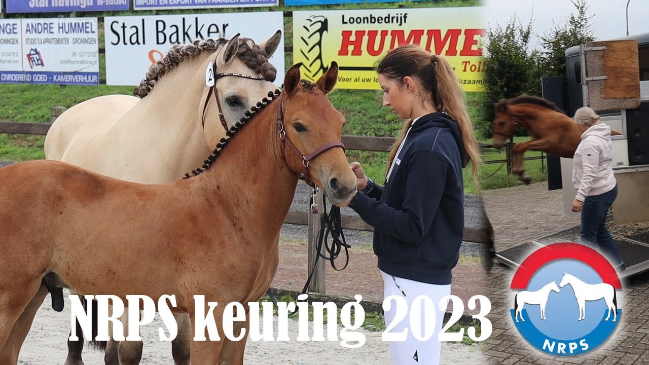 NRPS keuring 2023 Tolbert | Word Fleur opgenomen?! En wat vind de jury van Blue?? |PaintedPony