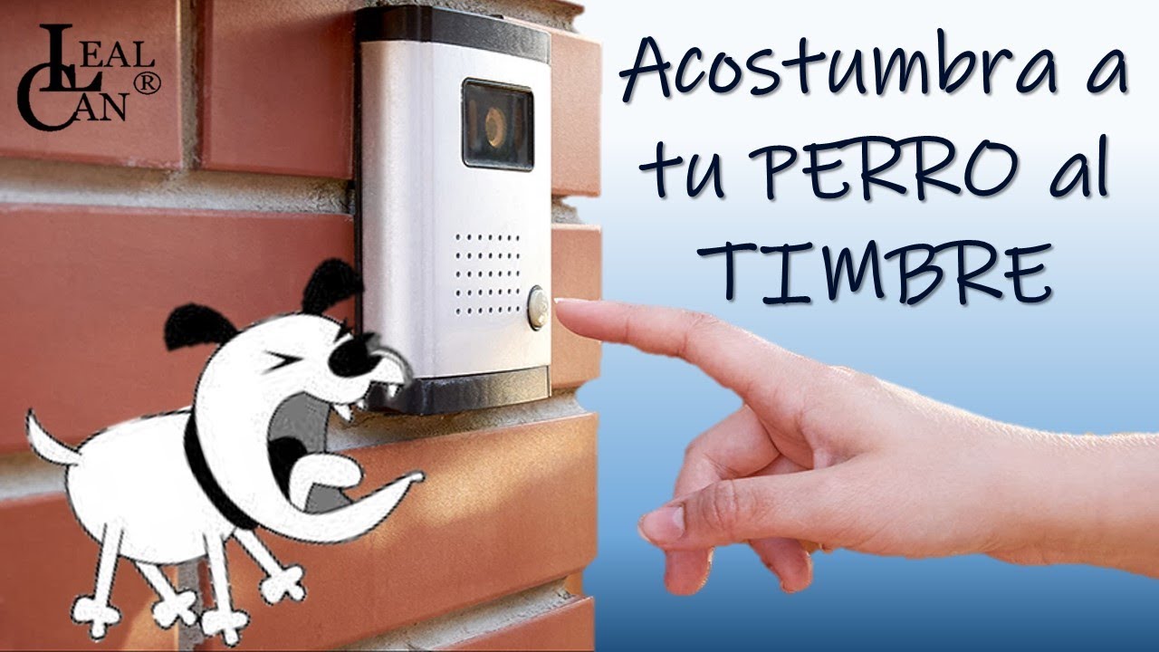 Acostumbra a tu PERRO al sonido del TIMBRE | LealCan Adiestramiento