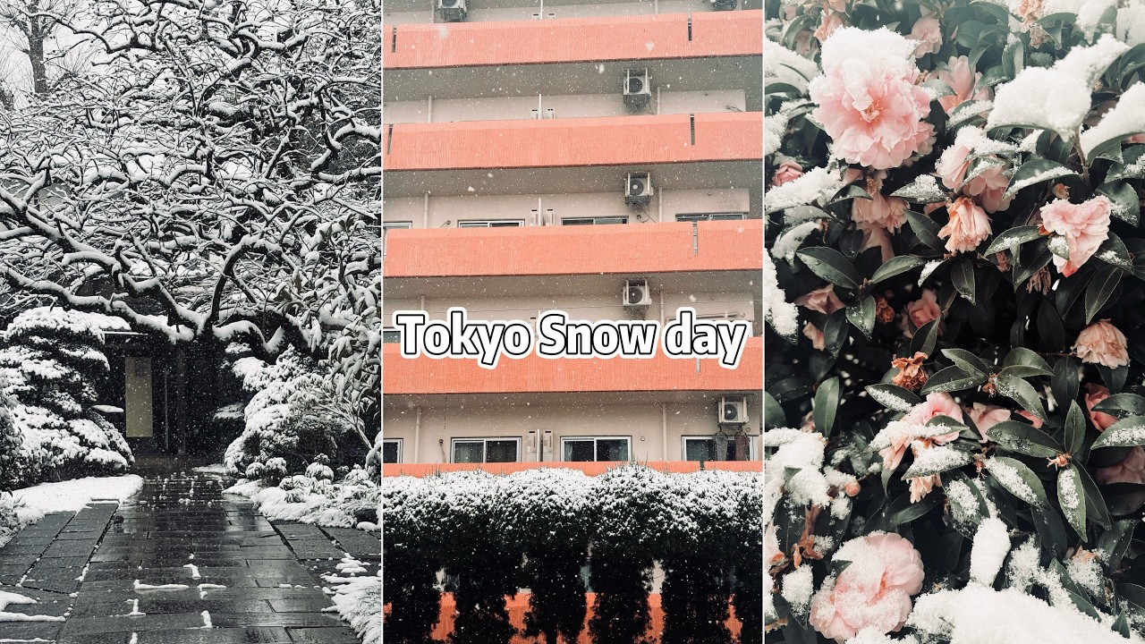 【東京春雪】新春雪中散步的紀錄