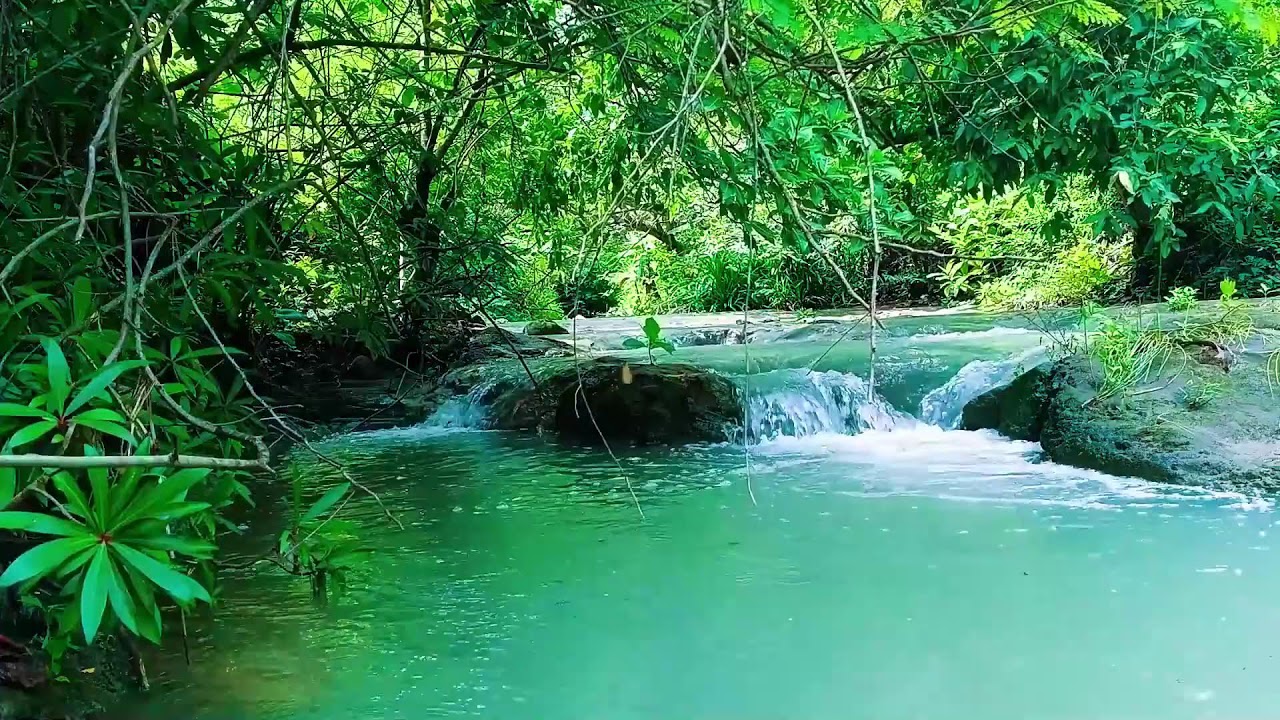 ASMR Waterfall Ambience 🌿 Relaxing Nature Sounds for Yoga, Meditation & Deep Sleep