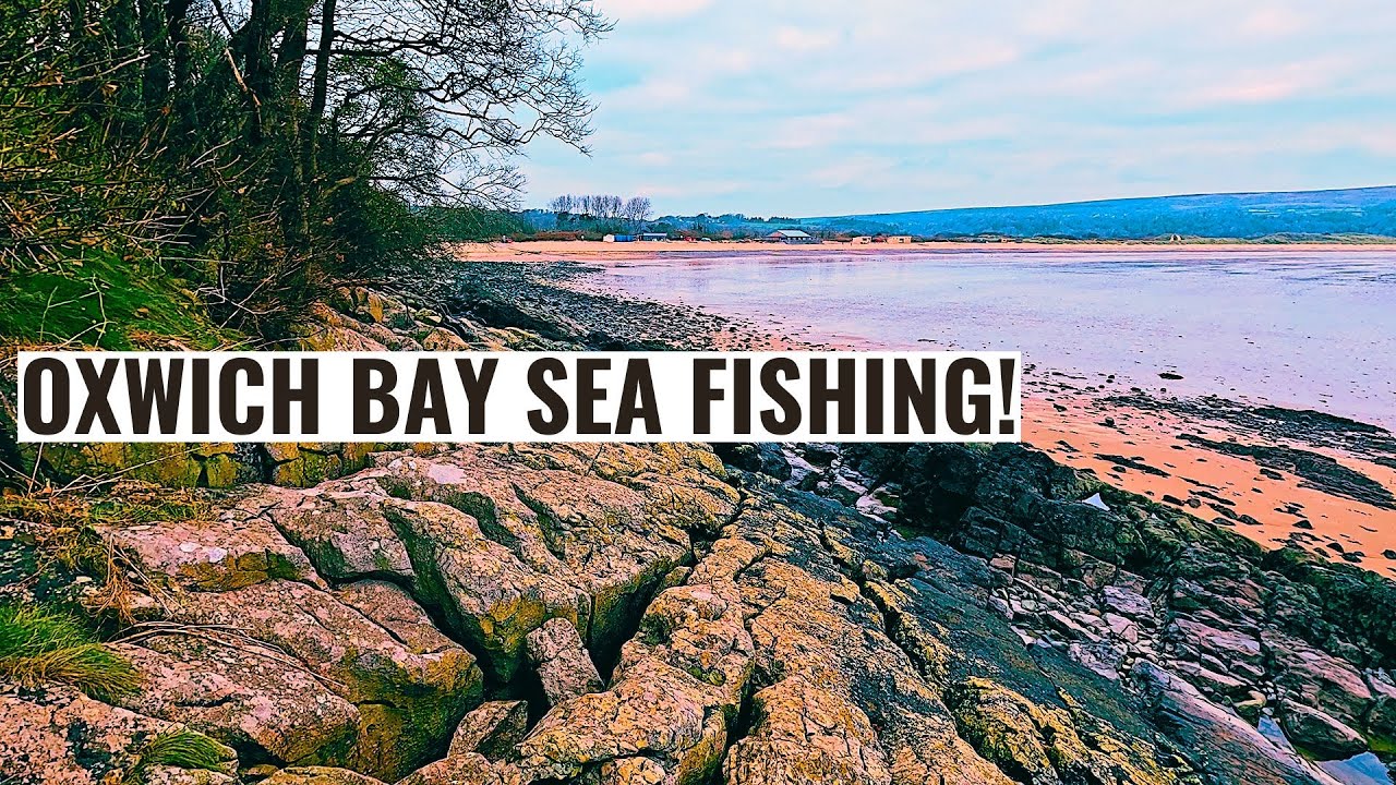Sea Fishing at Oxwich Bay, The Gower: Bite A Cast!