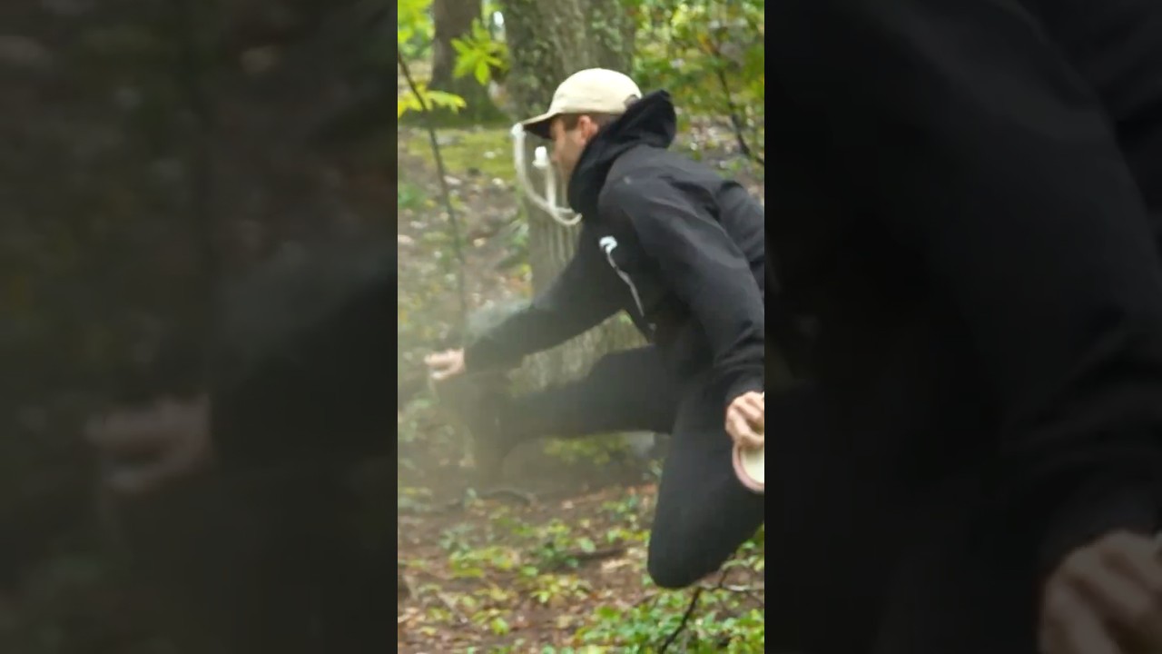 выводит игру в патт-патт на новый уровень.