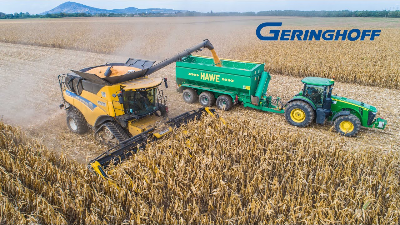 Kukorica aratás | NH CR 10.90 + MF Ideal 8T + Claas Lexion 670 + JD S670i | Geringhoff adapterek