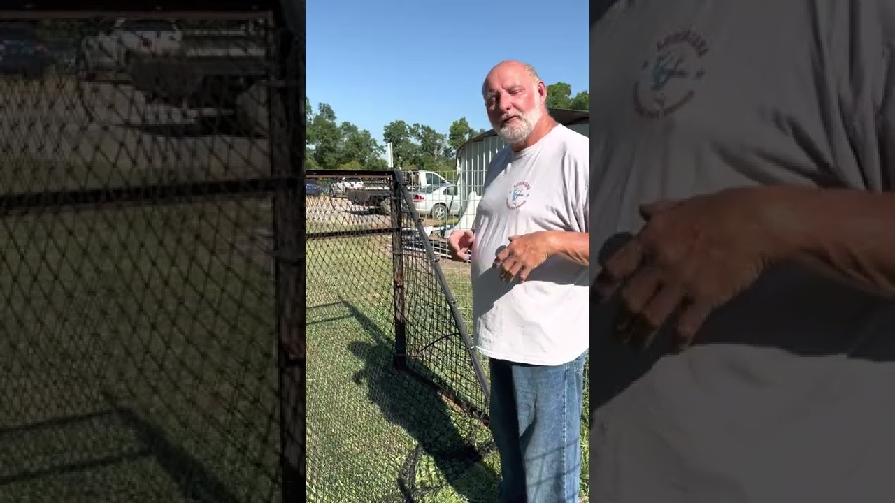 C&C Catch All Hog Gate