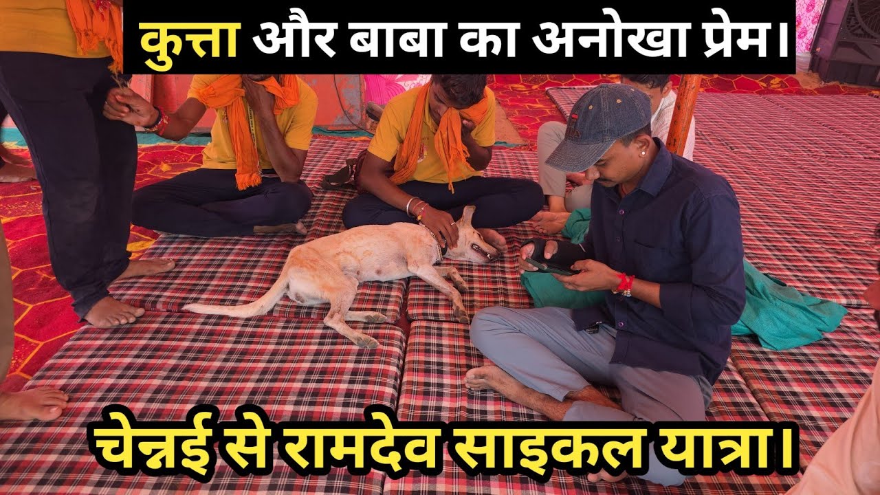 चेन्नई से रामदेवरा साईकल यात्रा। साथ में कुत्ता भी कर रहा यात्रा।#ramdewra 