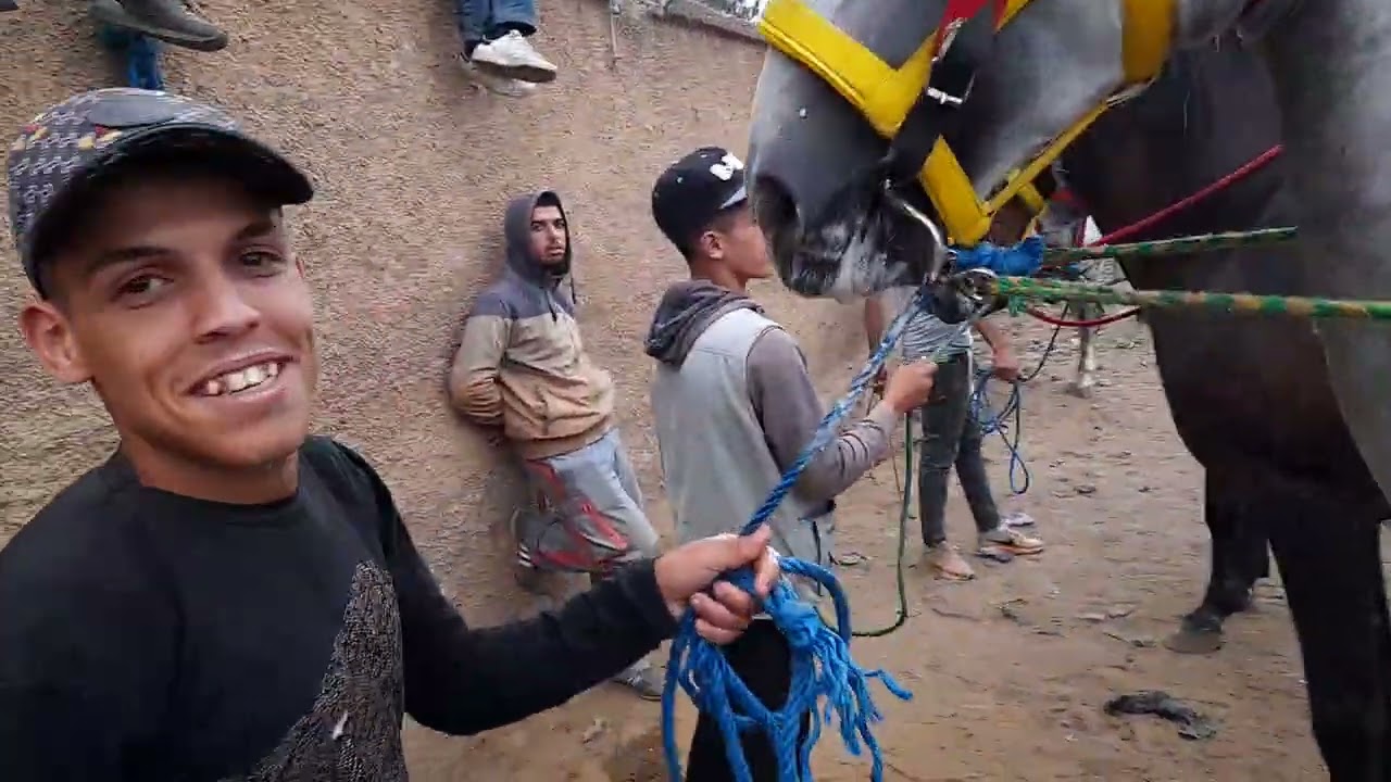 سوق الثلاثاء خميسات العربي طويبة عندو الباكية