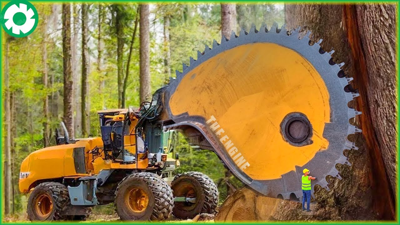 Most Big Chainsaw Cutting Tree Machines | Agriculture Technology
