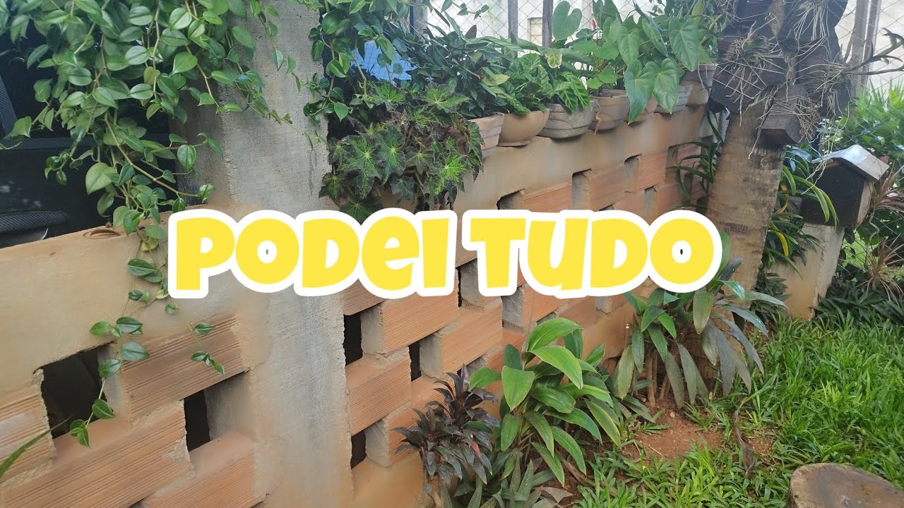 Jardim da Frente Após a Poda 🌿✨ | Mais Luz e Mais Espaço!
