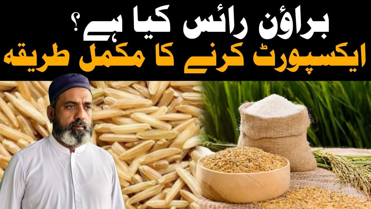 How to Export Brown Rice from Pakistan | Brown Rice Business Tips #importexportideas #brownrice