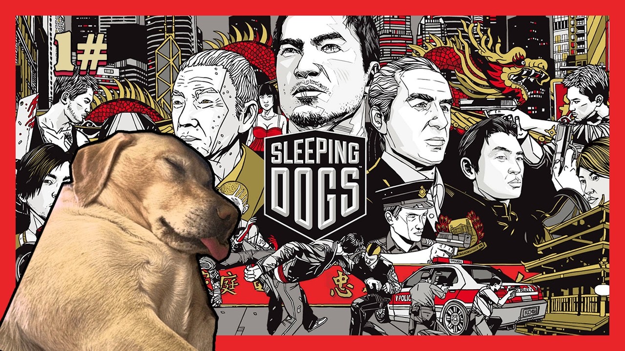 perros durmiendo #1