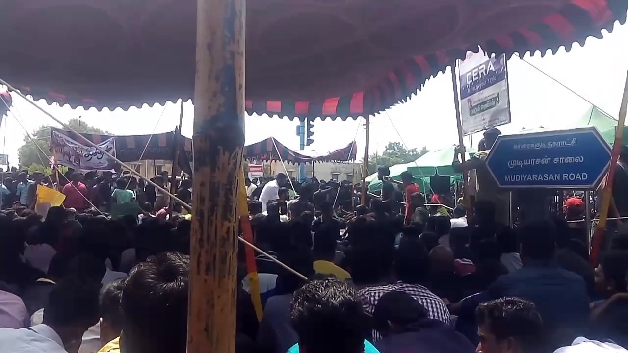 jallikattu struggle 20/01/17 at karaikudi