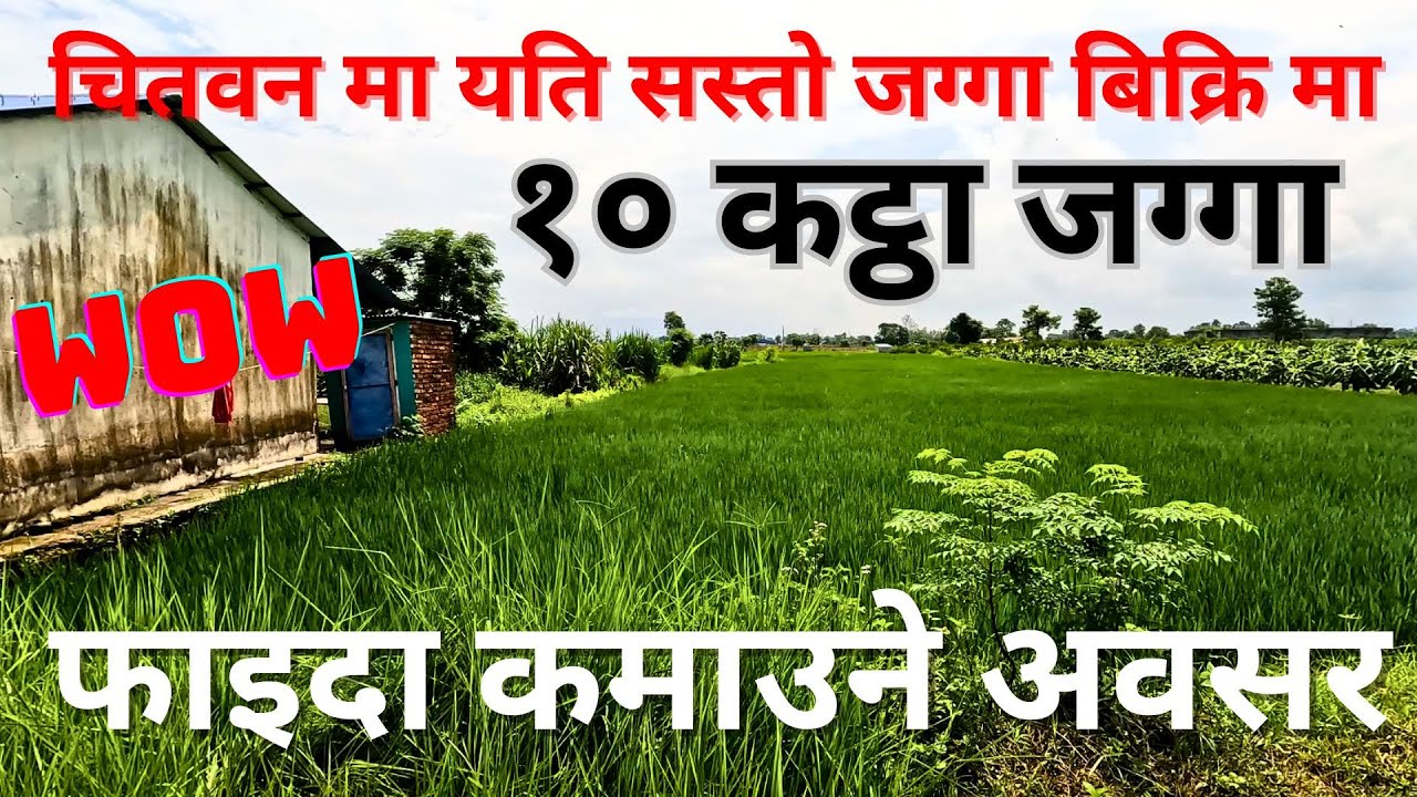 चितवन मा आयो सस्तो १० कठा जग्गा बिक्रि मा A best land on sale in purbi chitwan nepal .@gharjaggabank