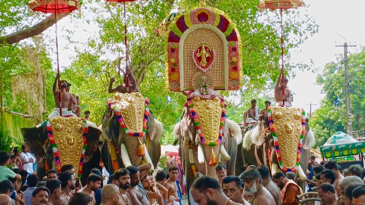 ചിറ്റിലഞ്ചേരി വേല 2025 || Chittilancheri Vela 2025