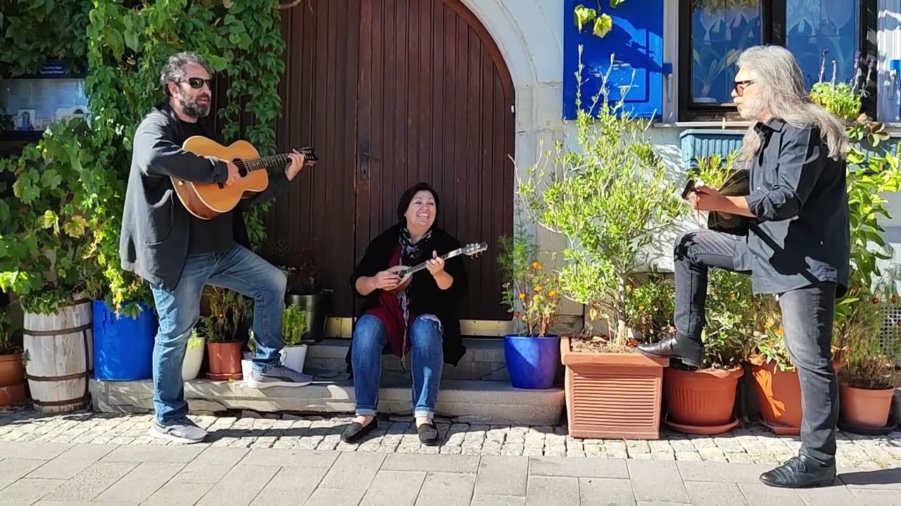 Traube live Κάτω στο πασαλιμάνι. Πάνος Πέτσας