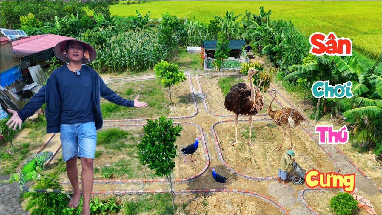 Rồng Đã Trở Về ? Và Khu Vườn Mơ Ước Nuôi Tất Cả Thú Cưng Của Mình Sắp Xong Rồi / Quế Nghịch