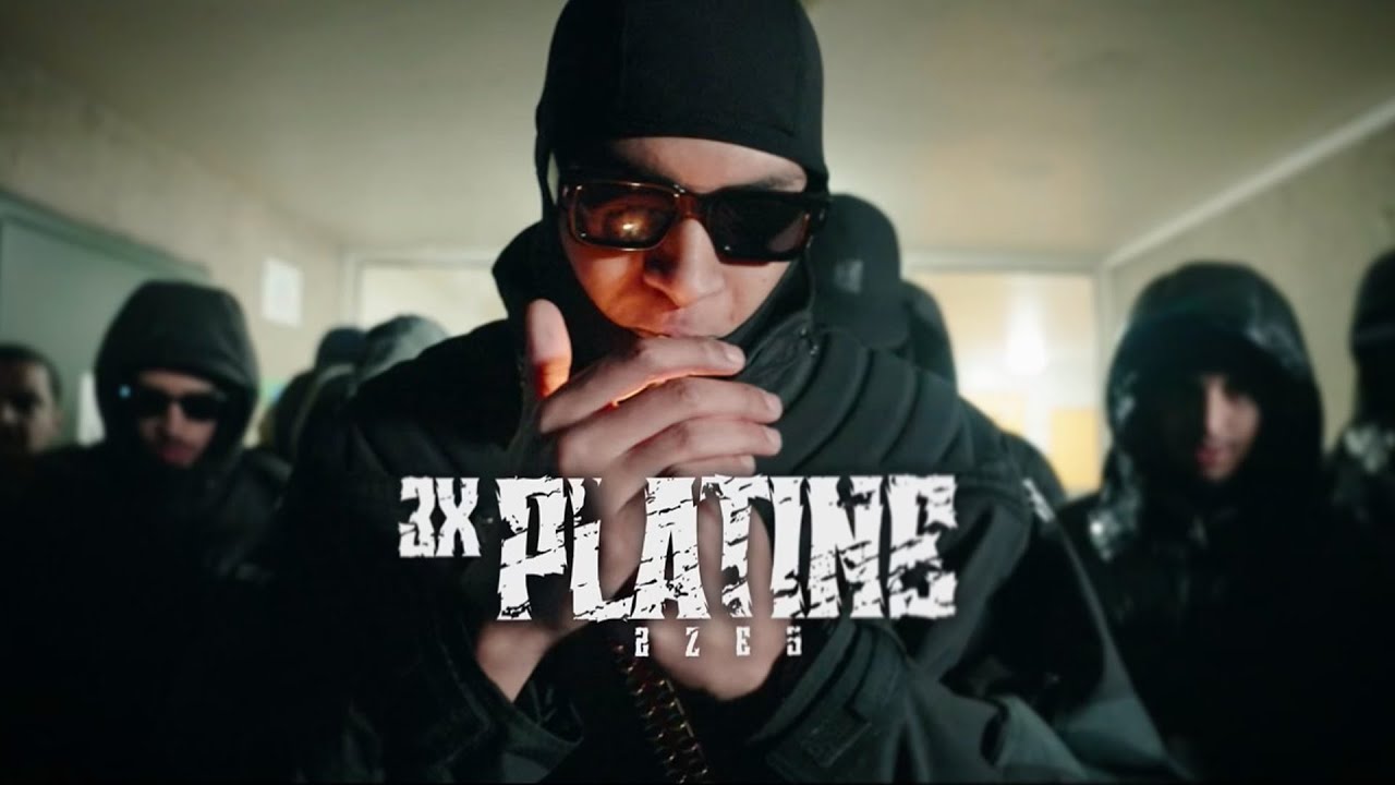 2ZES - 3x PLATINE