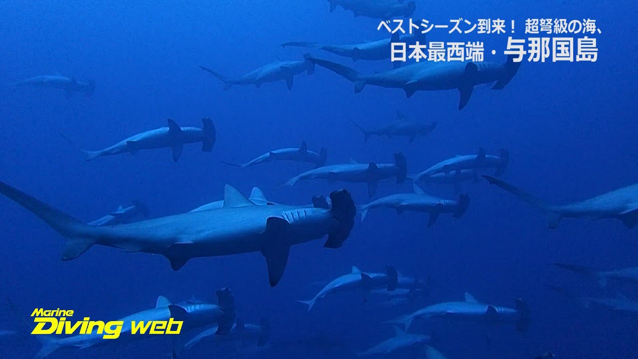 与那国島　総集編