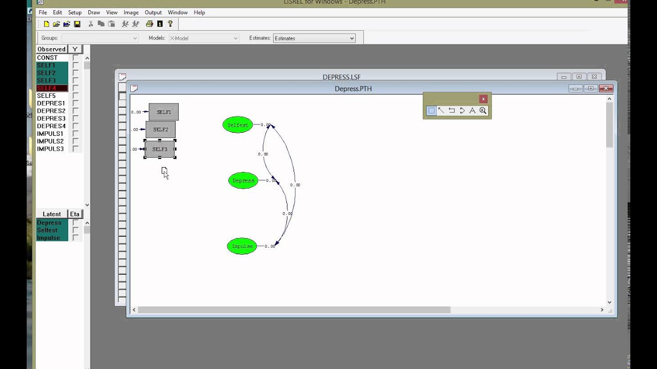 Confirmatory Factor Analysis with Lisrel