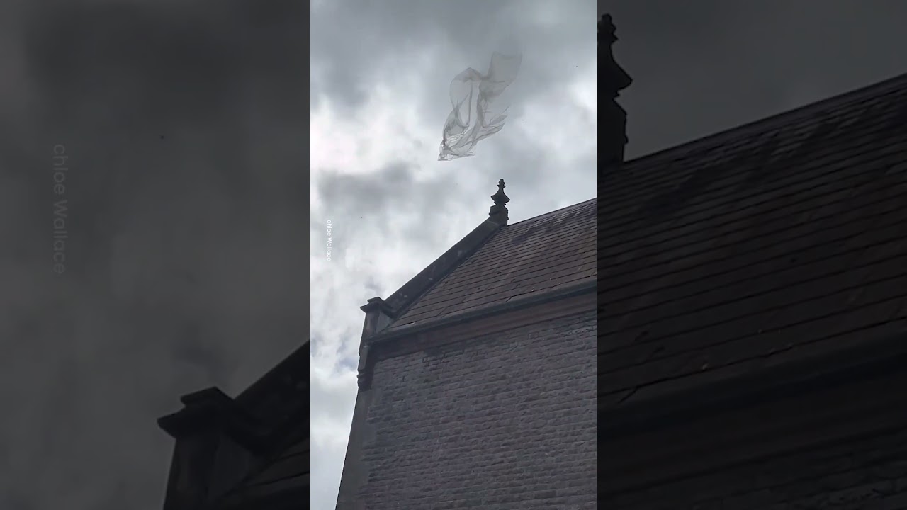 Bride Loses Her Veil! 👰🏼&zwj;♀️