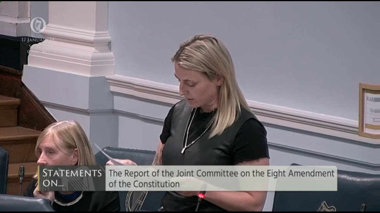 Lynn Ruane on 8th Amendment Report