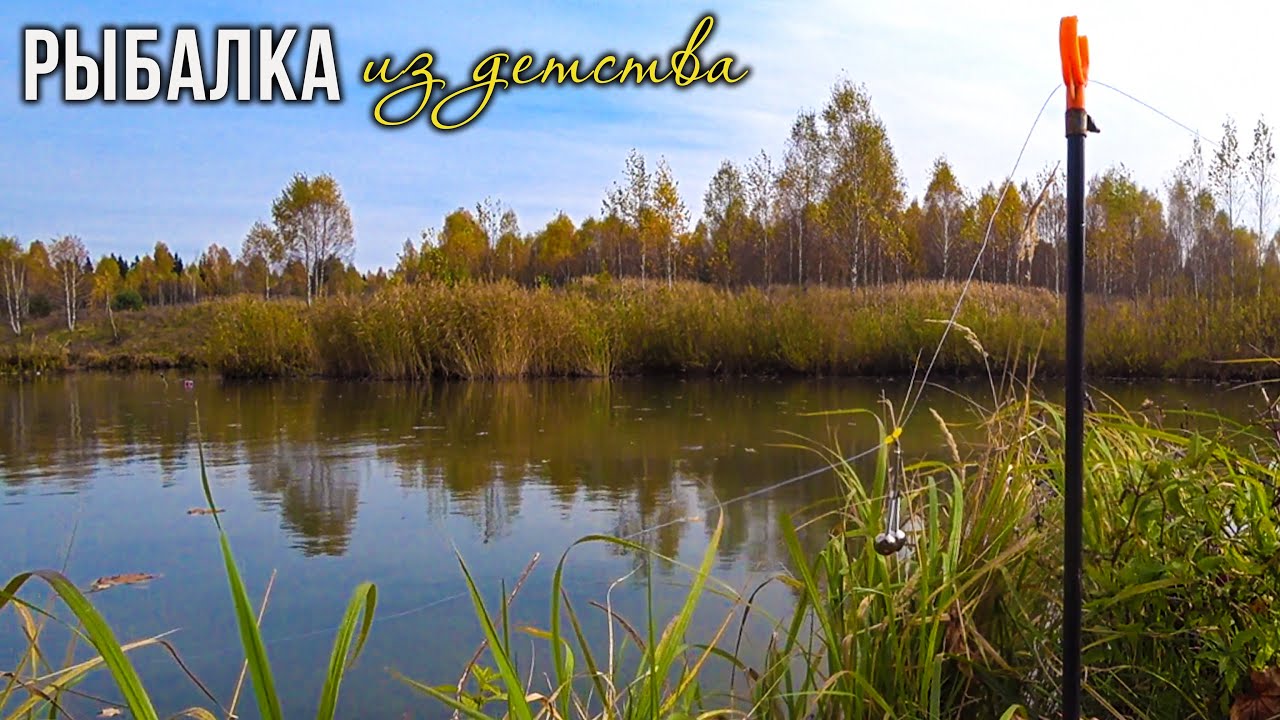 РЫБАЛКА на РЕЗИНКУ! КРУПНЫЙ САЗАН и КАРП НА РЕЗИНКУ. РЫБАЛКА из ДЕТСТВА. ЛОВЛЯ КАРПА В ОКТЯБРЕ!