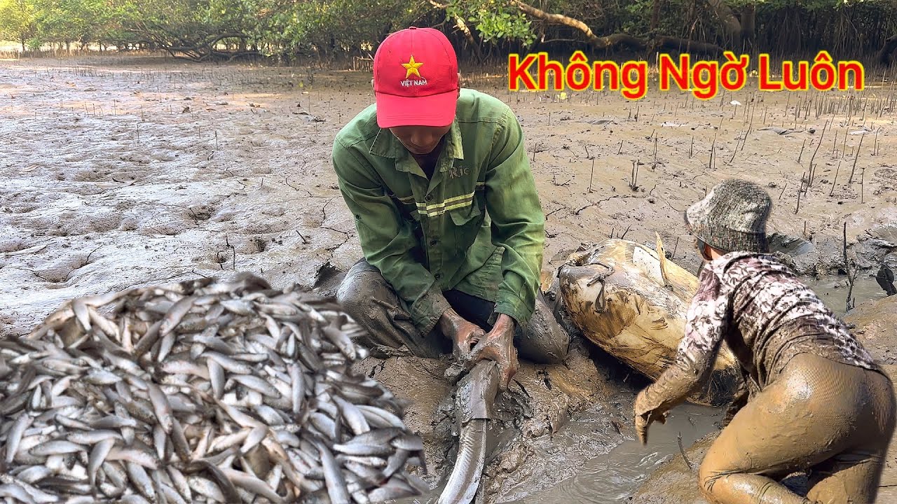 Bắt Hôi Trúng Mẻ Cá Nhiều Khủng Khiếp Cá Chạy Hai Vợ Chồng Đẩy Hoài Không Hết
