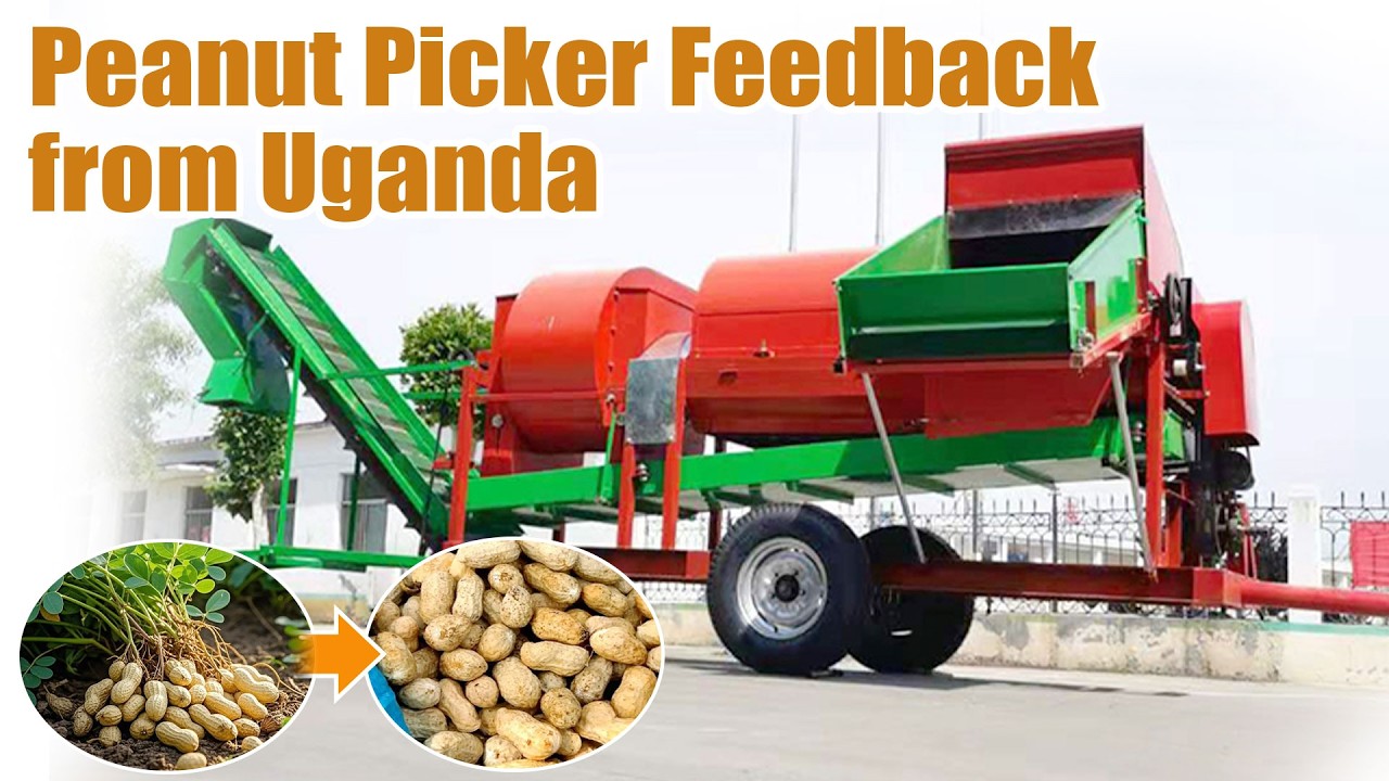 Uganda Customer Feedback on Our Peanut Picking Machine🌍🥜 | Field Test Success#peanut #peanutharvest