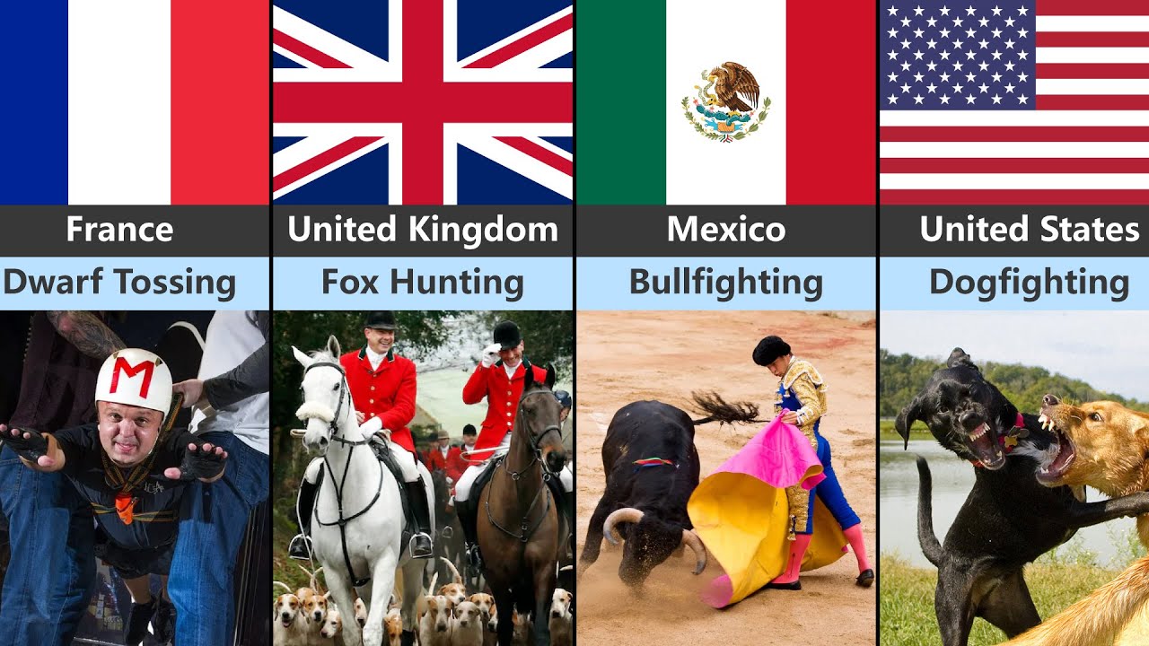 40 Sports And Games That Are Banned (By Country)
