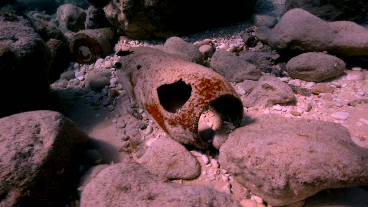Filfla - An incredible Malta Diving Experience