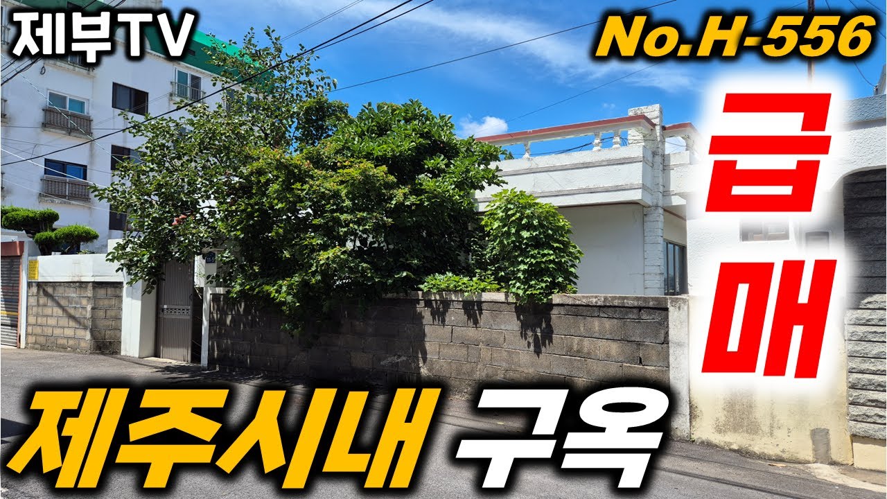 (급매) 정감있는 제주도 시내권 단독주택입니다 시원한 바다 조망은 덤으로 드립니다